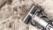 Dyson V12 Detect Slim Absolute zum Entfernen von Tierhaaren